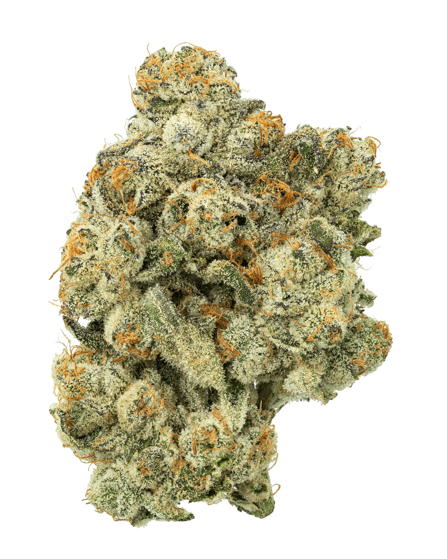 Fresh Cannabis LA Cherries