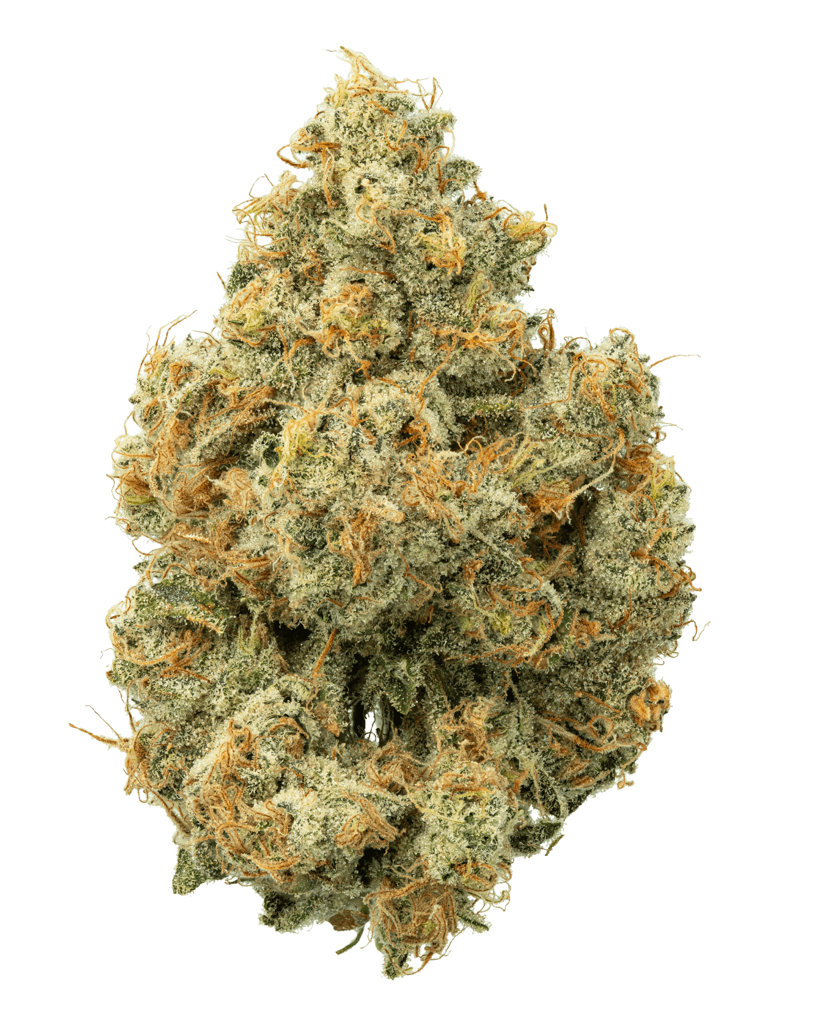Fresh Cannabis Monkey Spunk