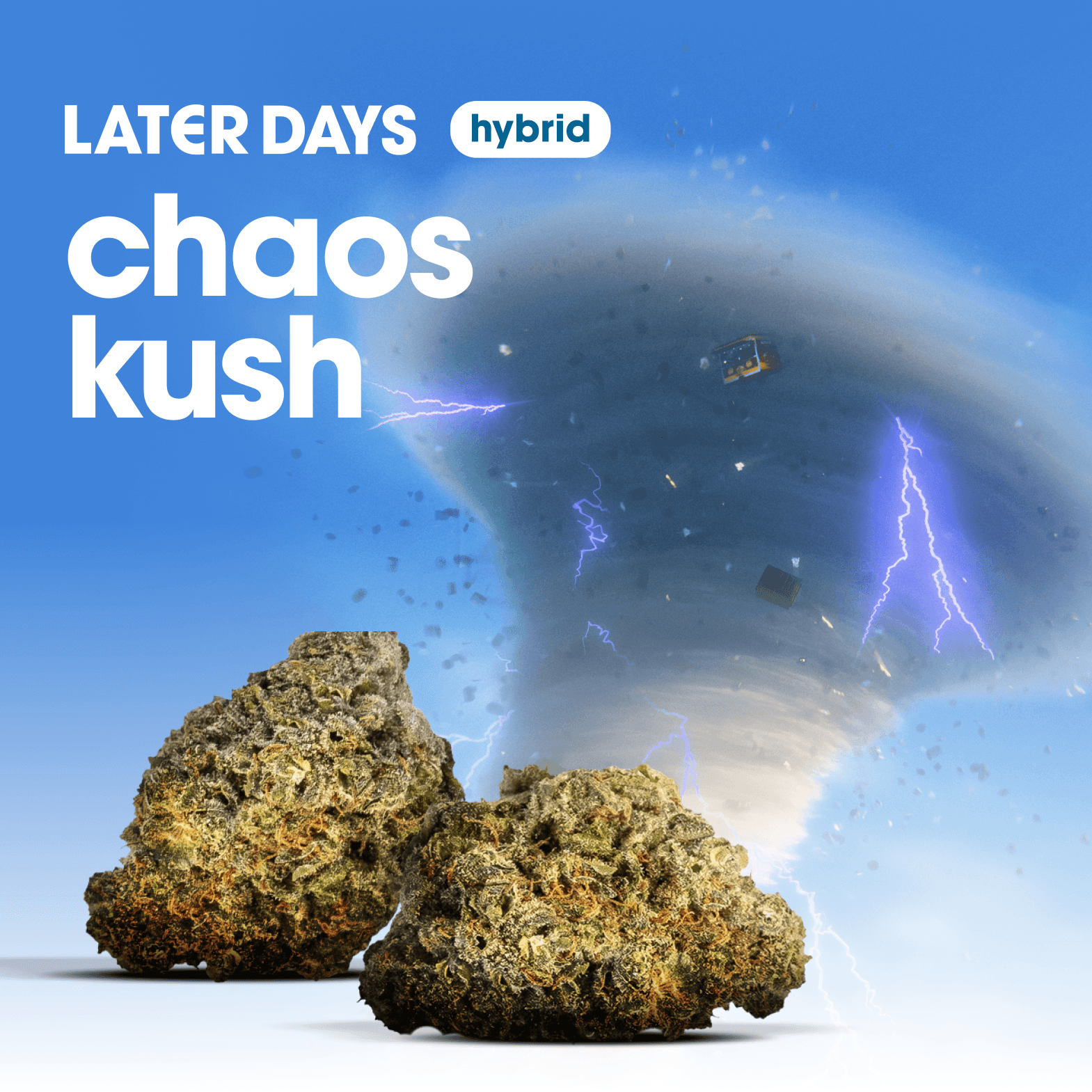 Later Days Chaos Kush Flower
