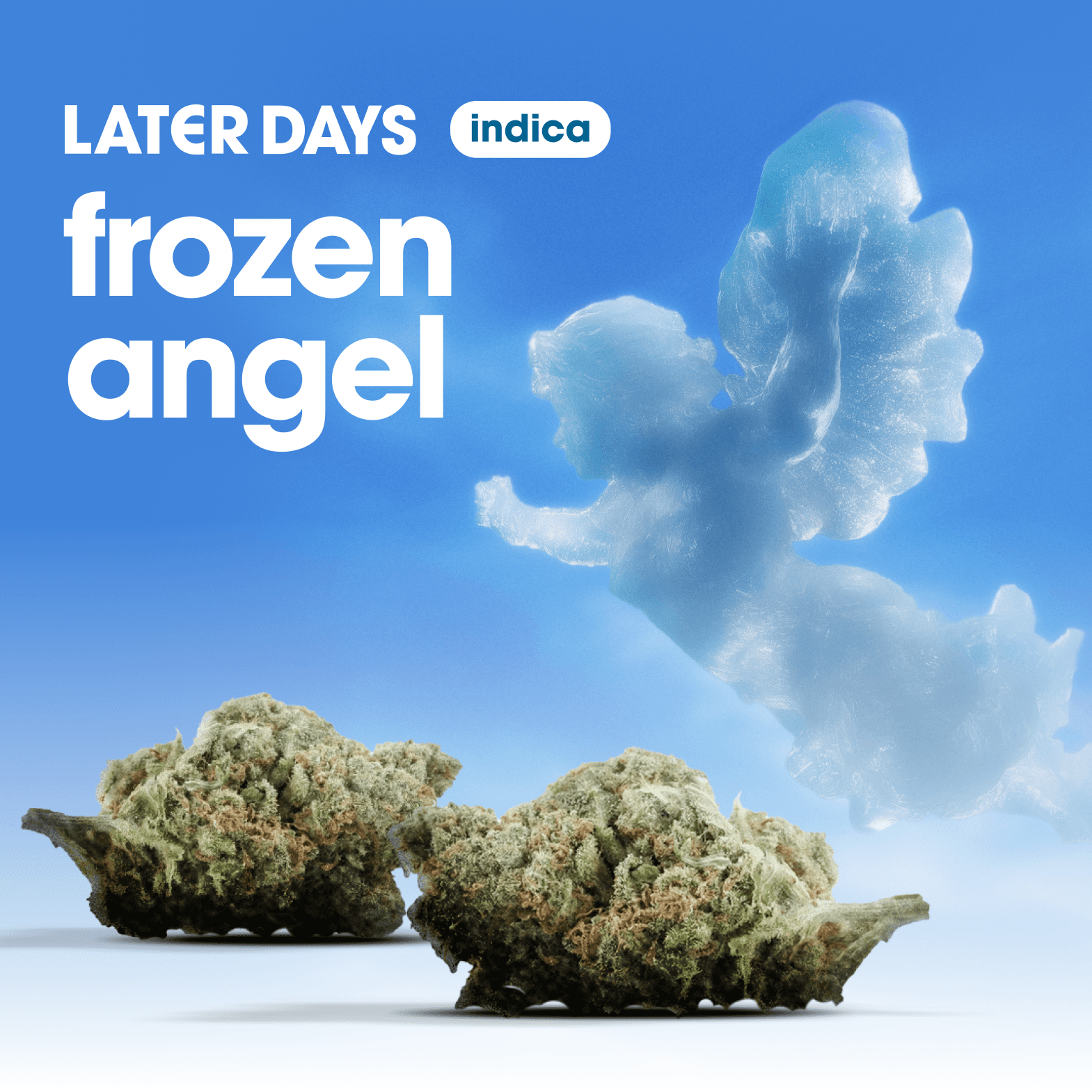 Later Days Frozen Angel Flower