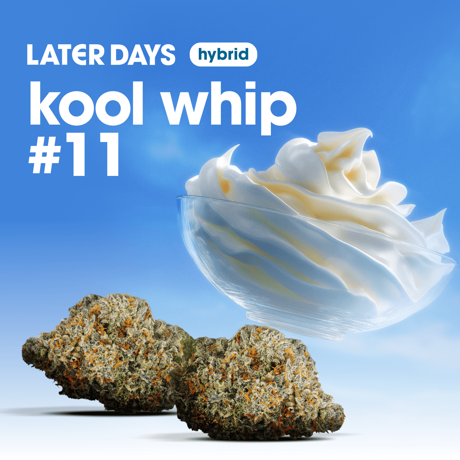 Later Days Kool Whip #11 Flower