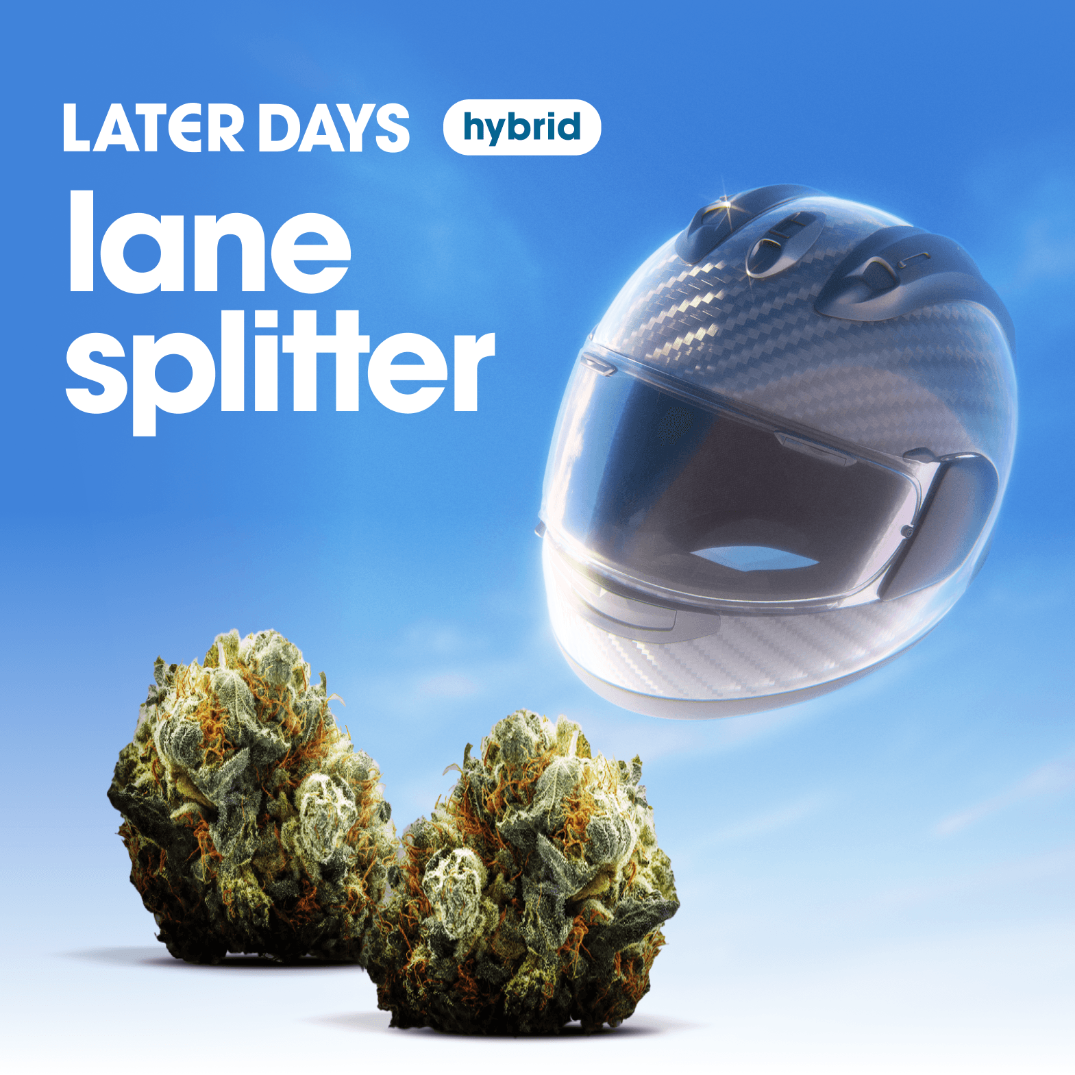 Later Days Lane Splitter Flower