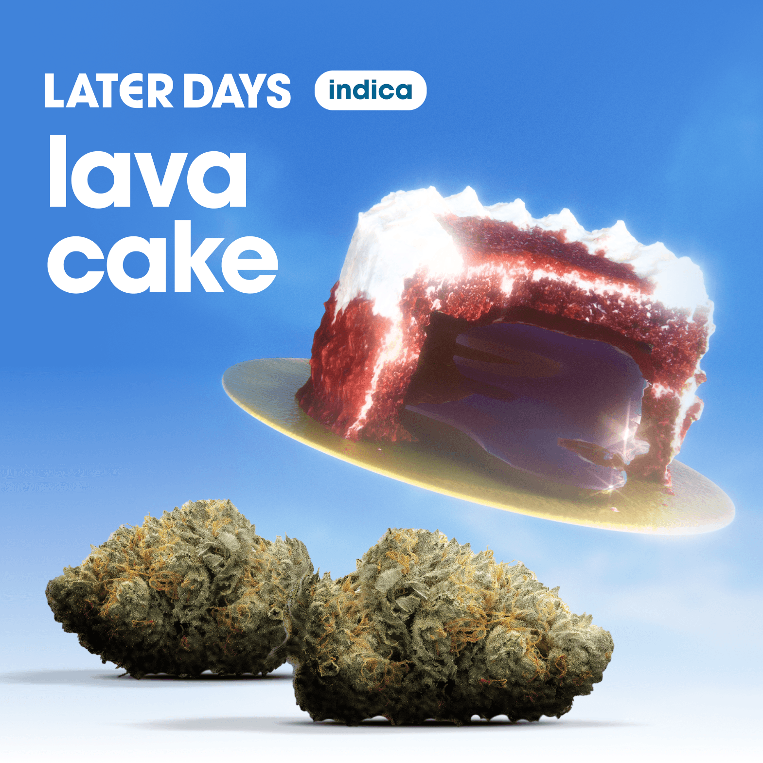 Later Days Lava Cake Flower