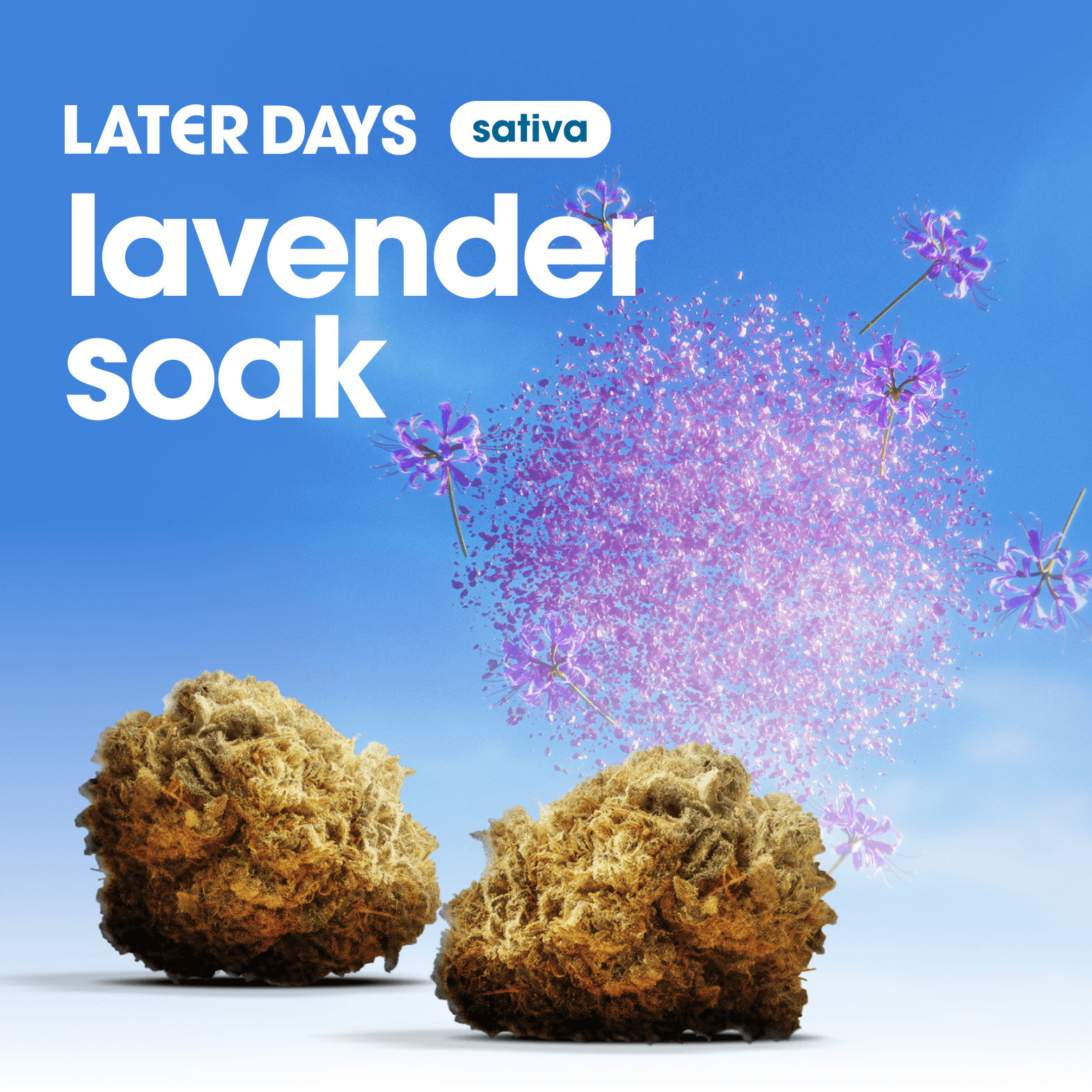 Later Days Lavender Soak Flower
