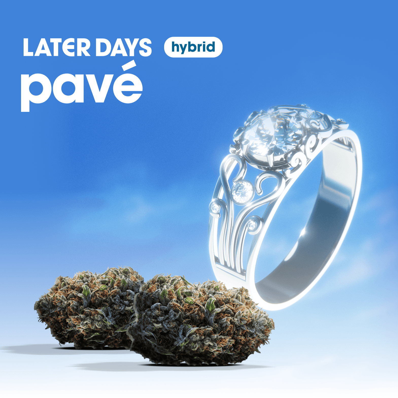 Later Days Pave Flower