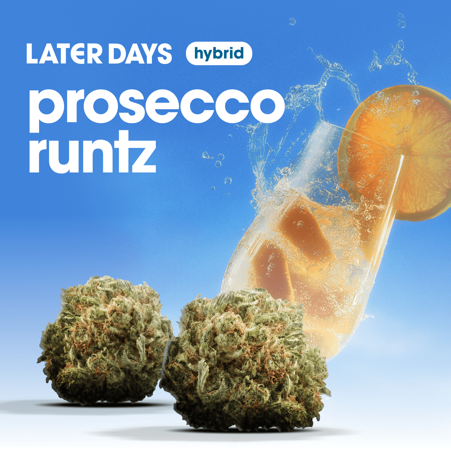 Later Days Prosecco Runtz Flower