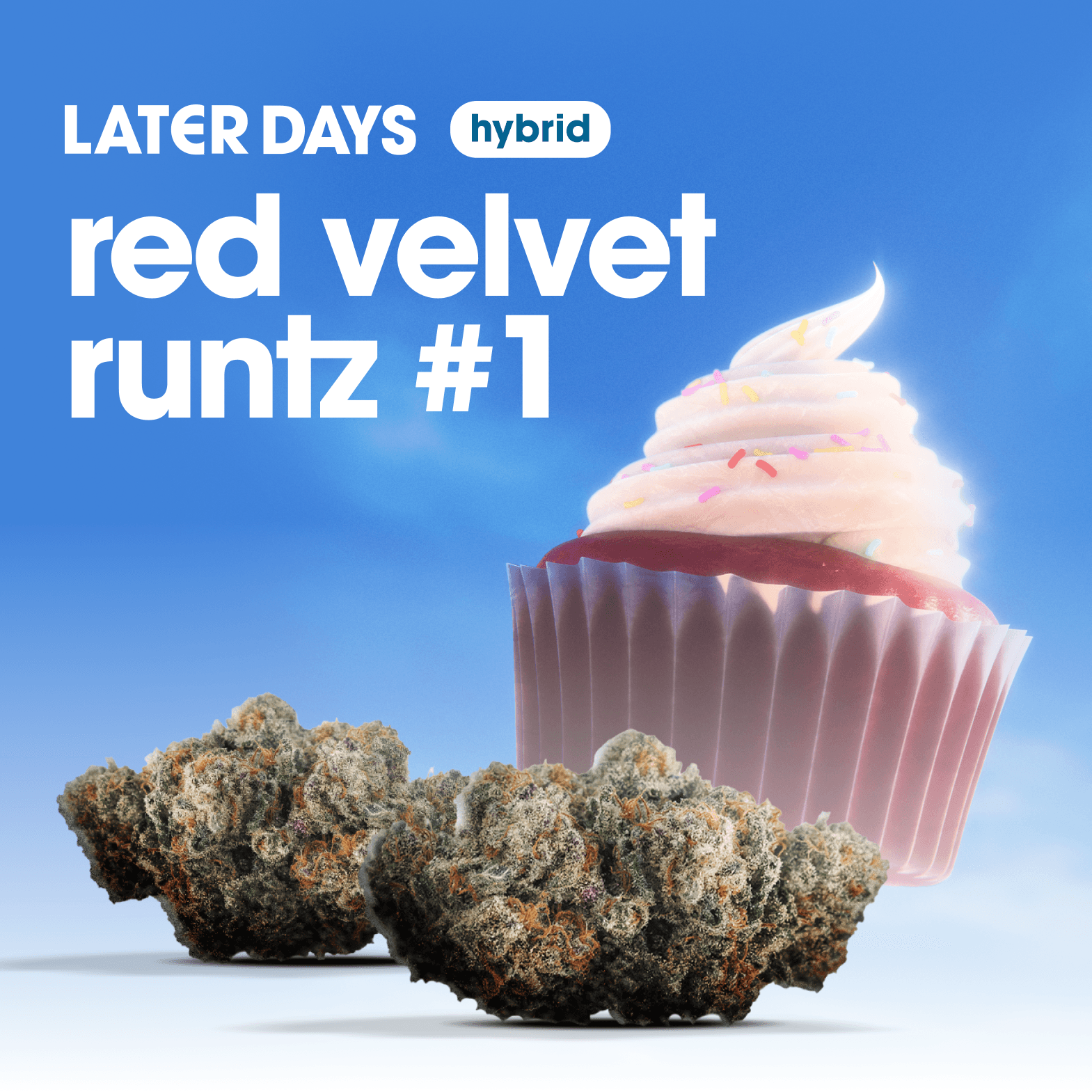Later Days Red Velvet Runtz #1 Flower