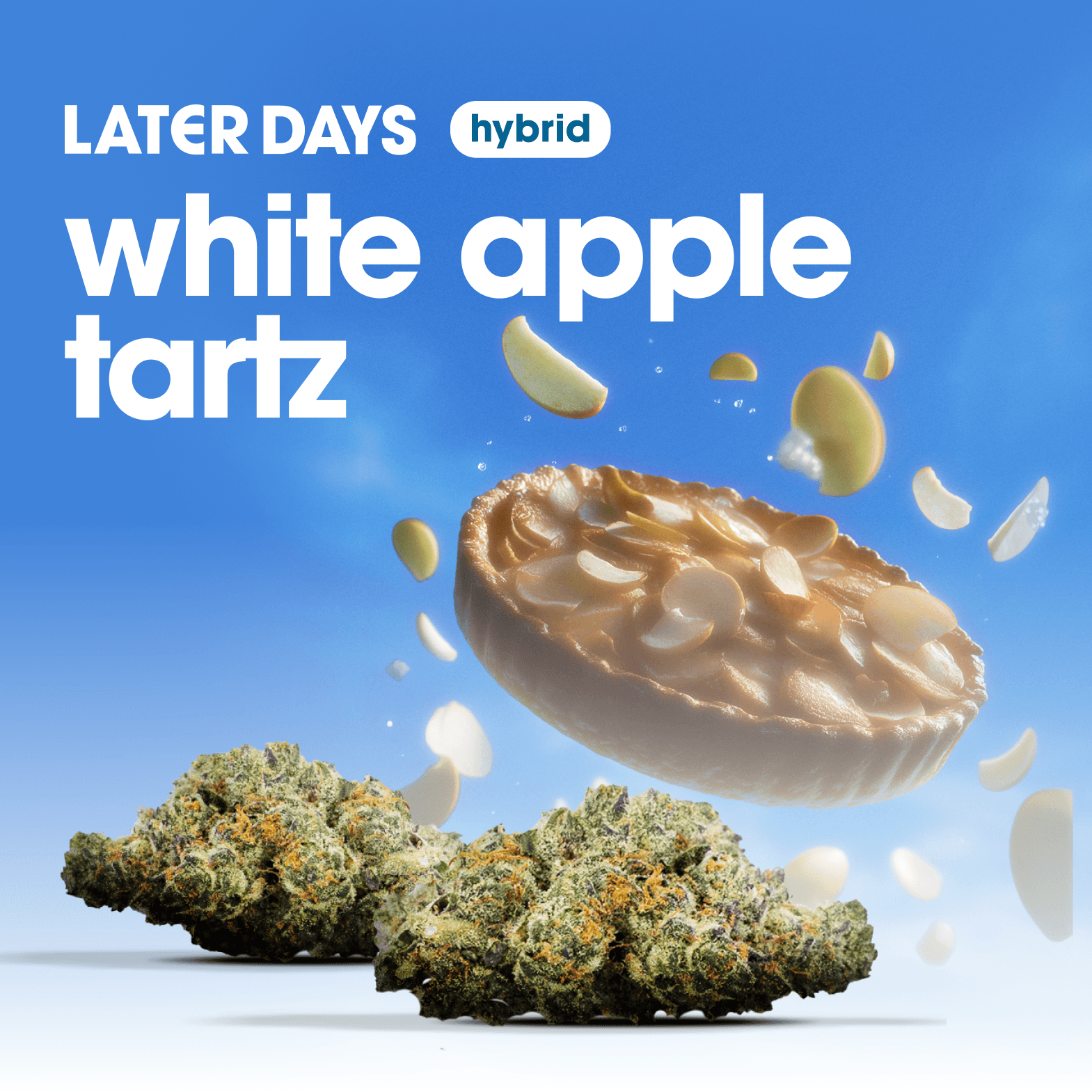 Later Days White Apple Tartz Flower