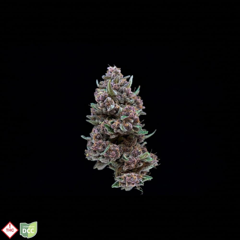 Seed and Strain Forbidden Fruit Cake [14.15g]