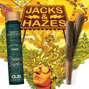 Nature's Heritage Starduster | 0.5g 2pk | Preroll