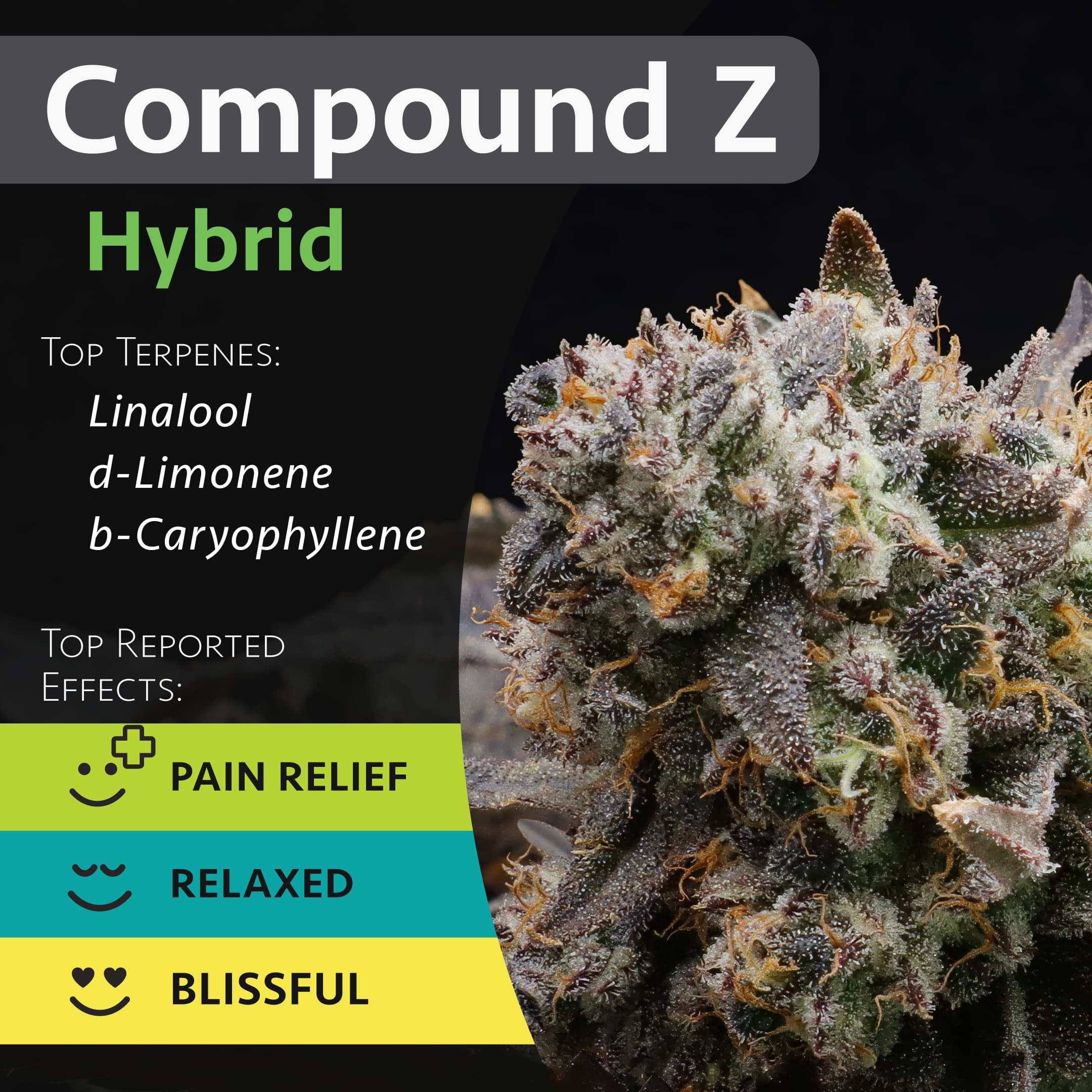 GraniteLeaf Cannabis Compound Z