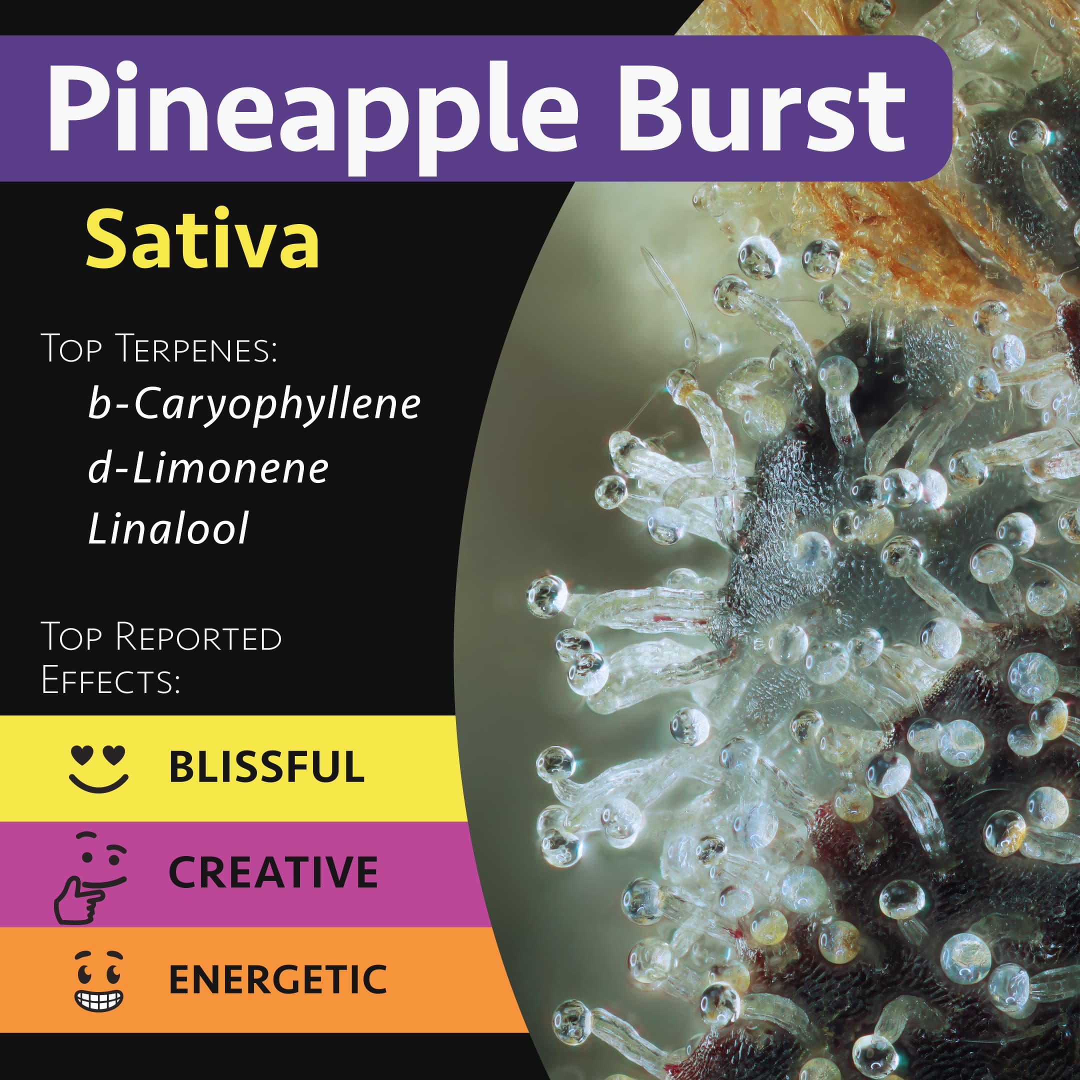 GraniteLeaf Cannabis Flower