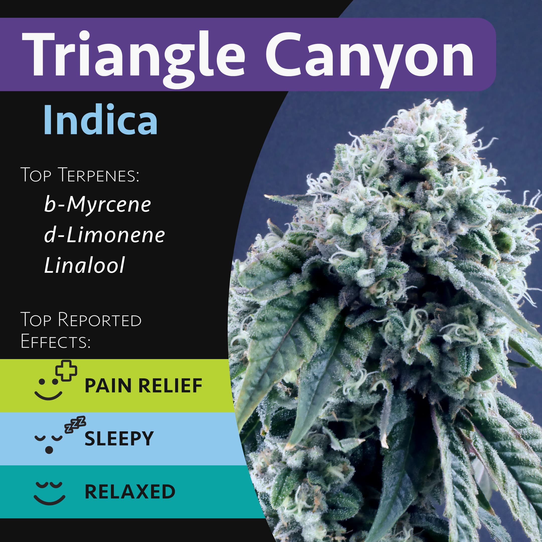 GraniteLeaf Cannabis Triangle Canyon