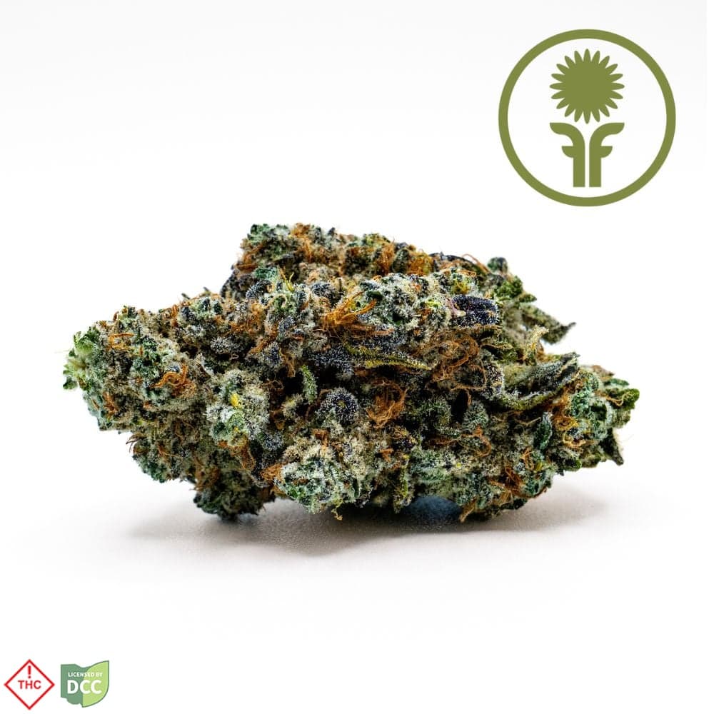 Flower Foundry Green Diesel