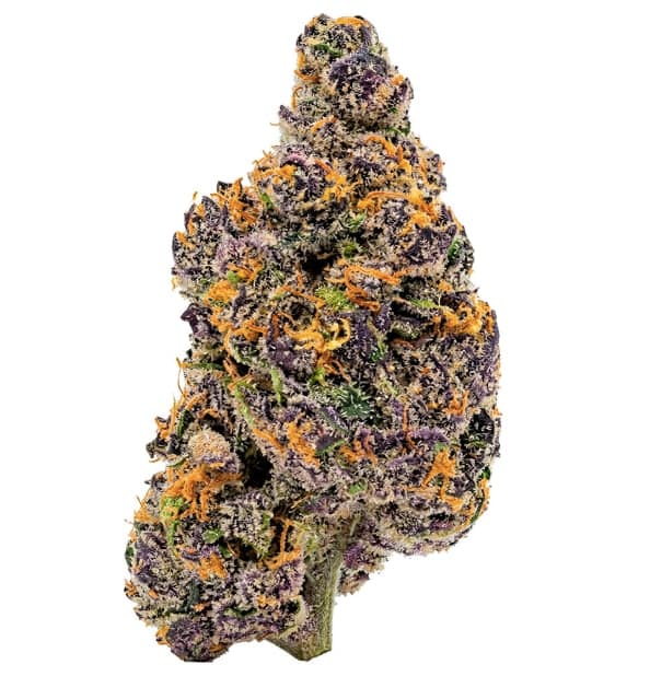 Ivory Aurora Frost (SuperBoof) | 7g