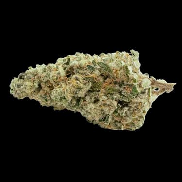 Hotbox Game Over - HOTBOX - Dried Flower