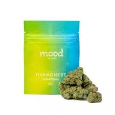 mood by Vytal Grandaddy Durban