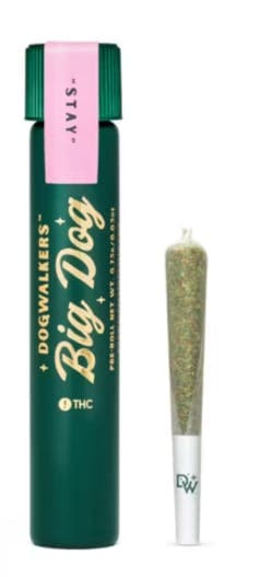 DOGWALKERS Cranberry Z | 5 Pack