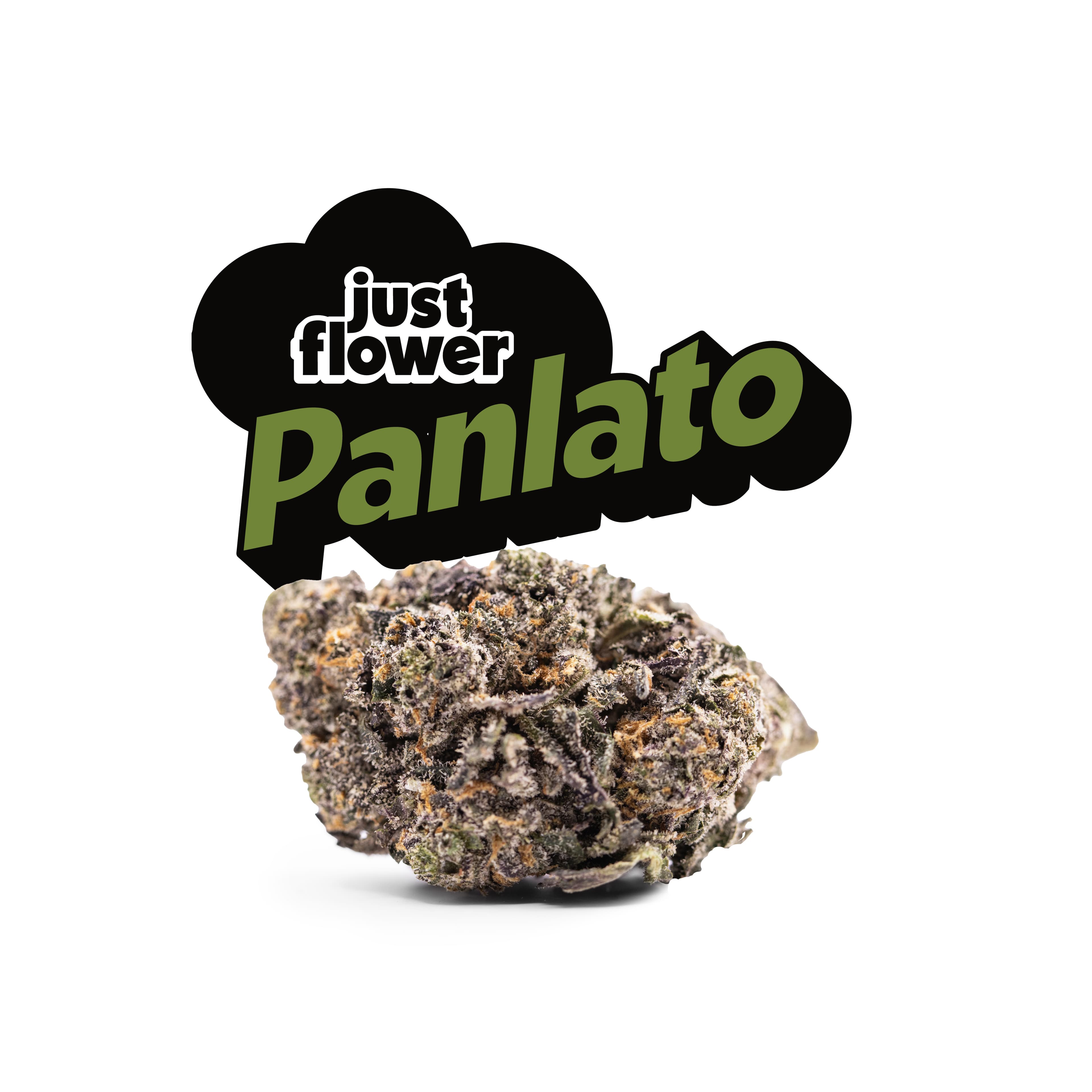 Just Flower PanLato [4g]