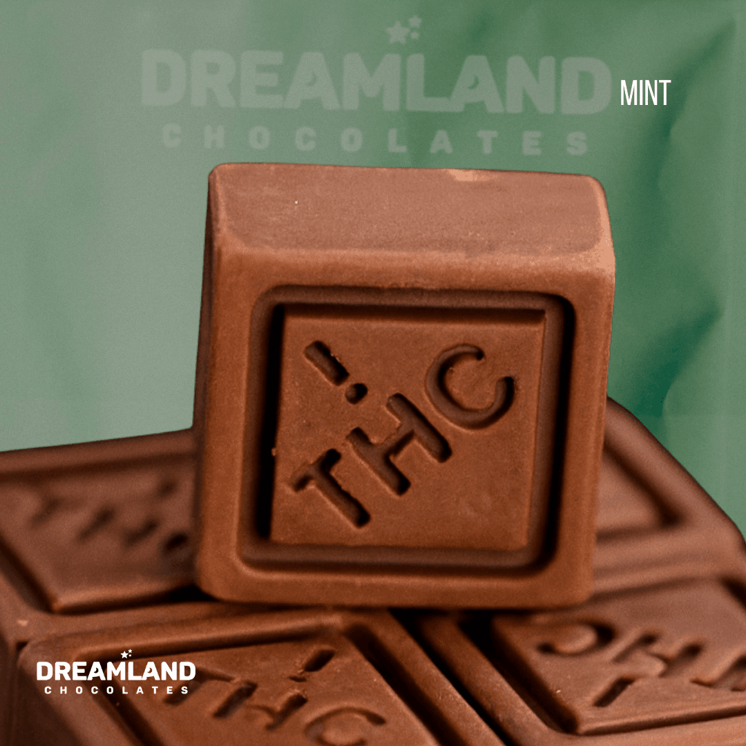 Dreamland Dreamland Mint Chocolate Squares 10pcs