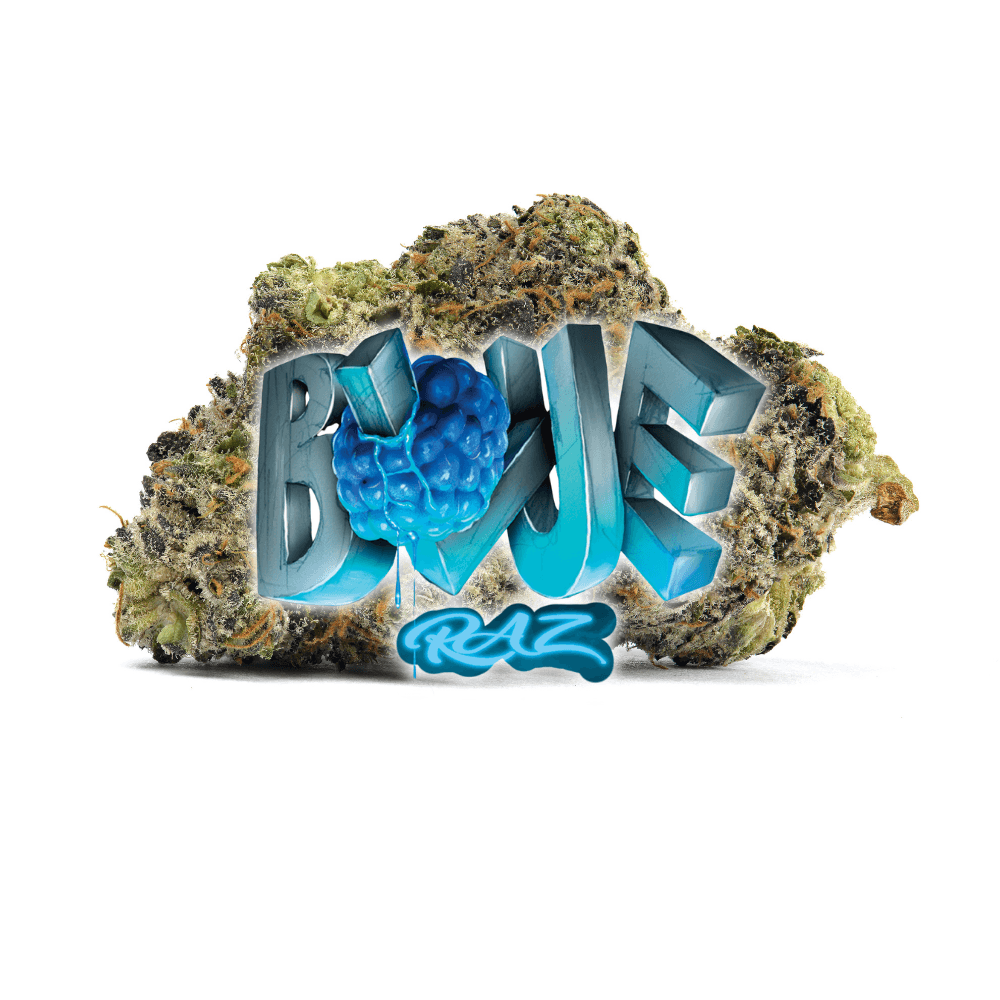 Cookies Flower