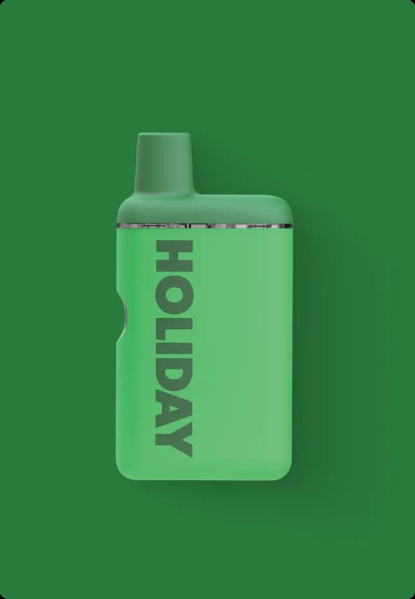 Holiday HAPPY CAMPER I HOLIDAY AIO VAPE - 1 G