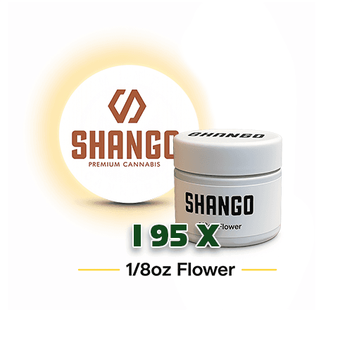 Shango I-95 X