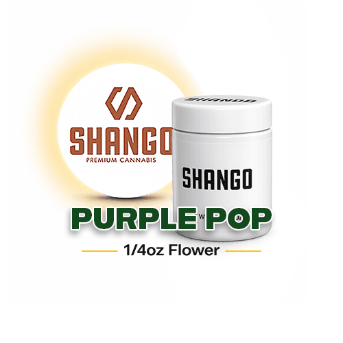 Shango Purple Pop