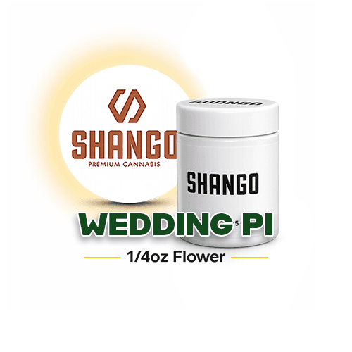 Shango Wedding PI