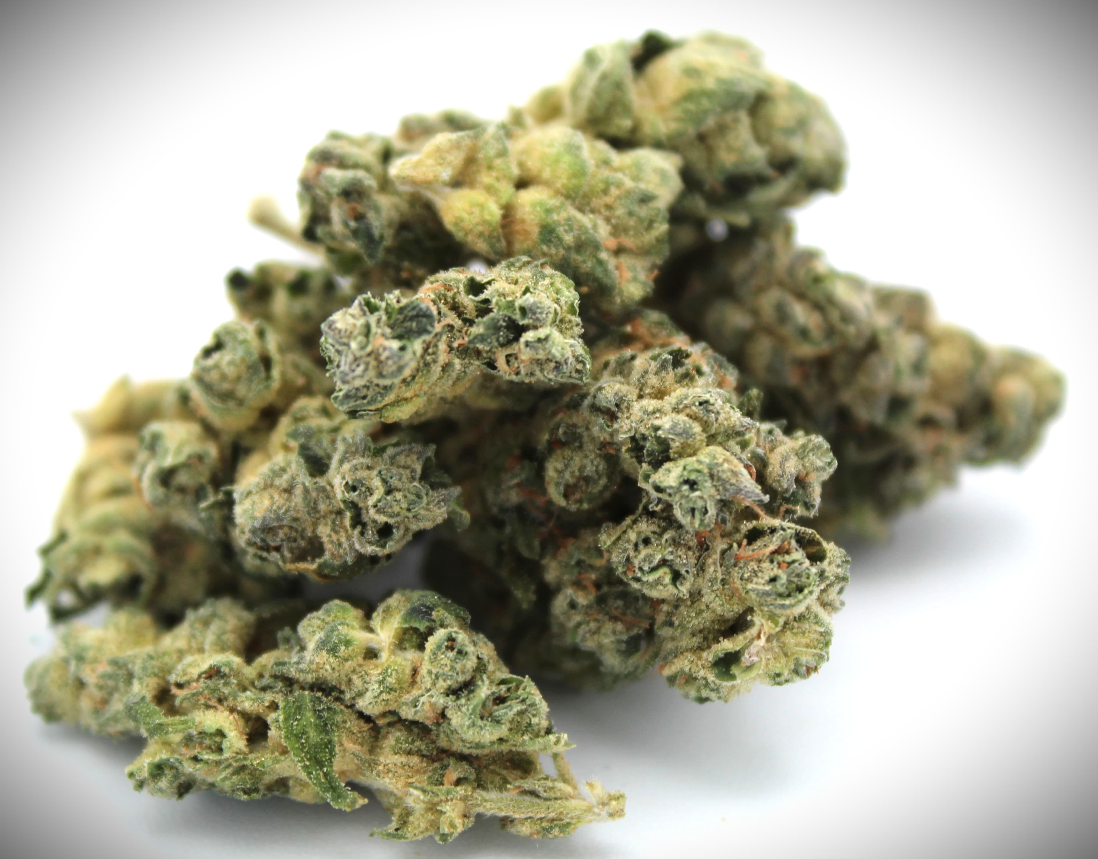 Sanctuary ATC Blue Cheese
