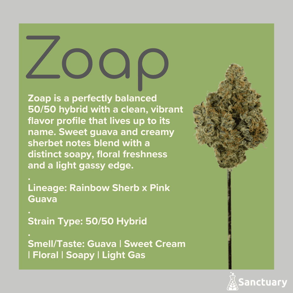 Sanctuary ATC (Hybrid) Zoap