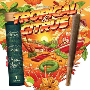 Nature's Heritage Nature's Heritage Sour Peach Cobbler (H) Pre-Roll 1g