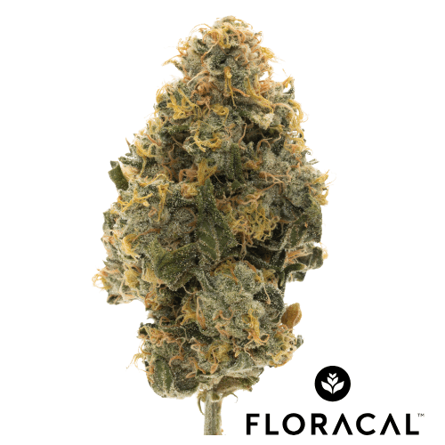 FloraCal