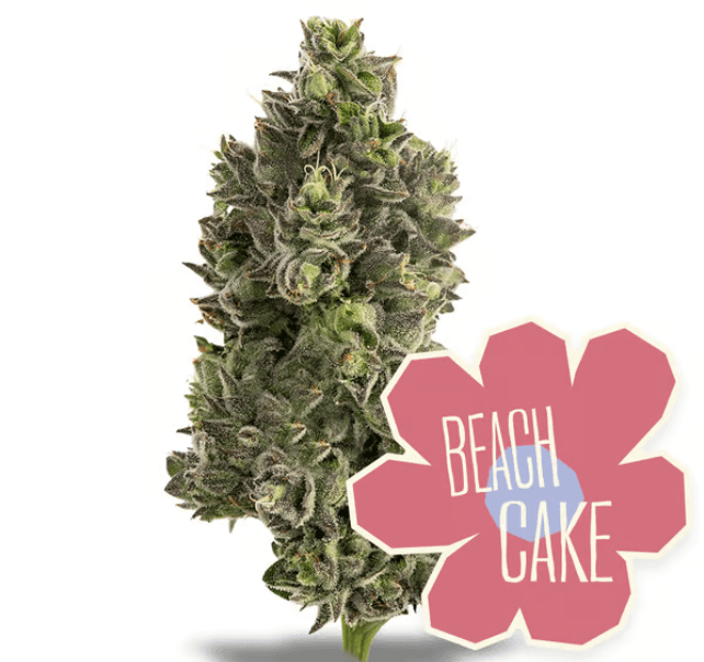 District Cannabis Beach Cake
