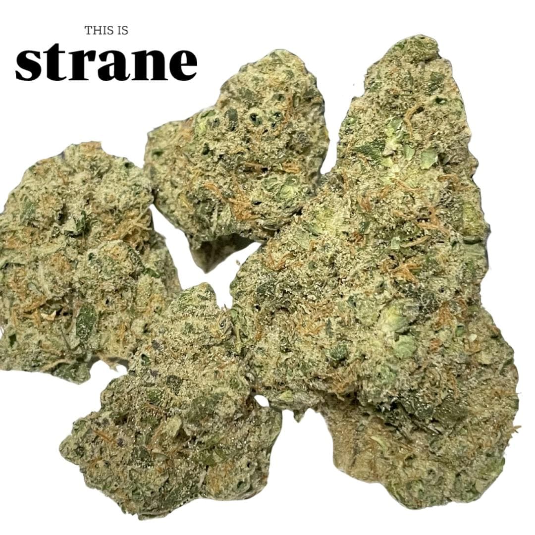 Strane Highaleah
