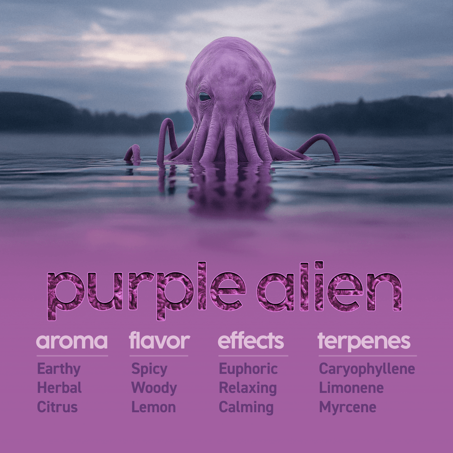 KYND Purple Alien Smalls