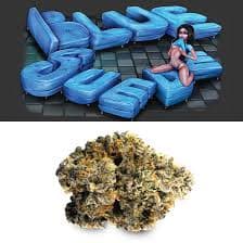 Cookies : Gary Payton | Hybrid