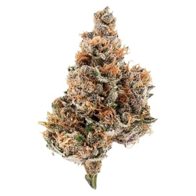 Potluck Raspberry Runtz 7g Dried Flower