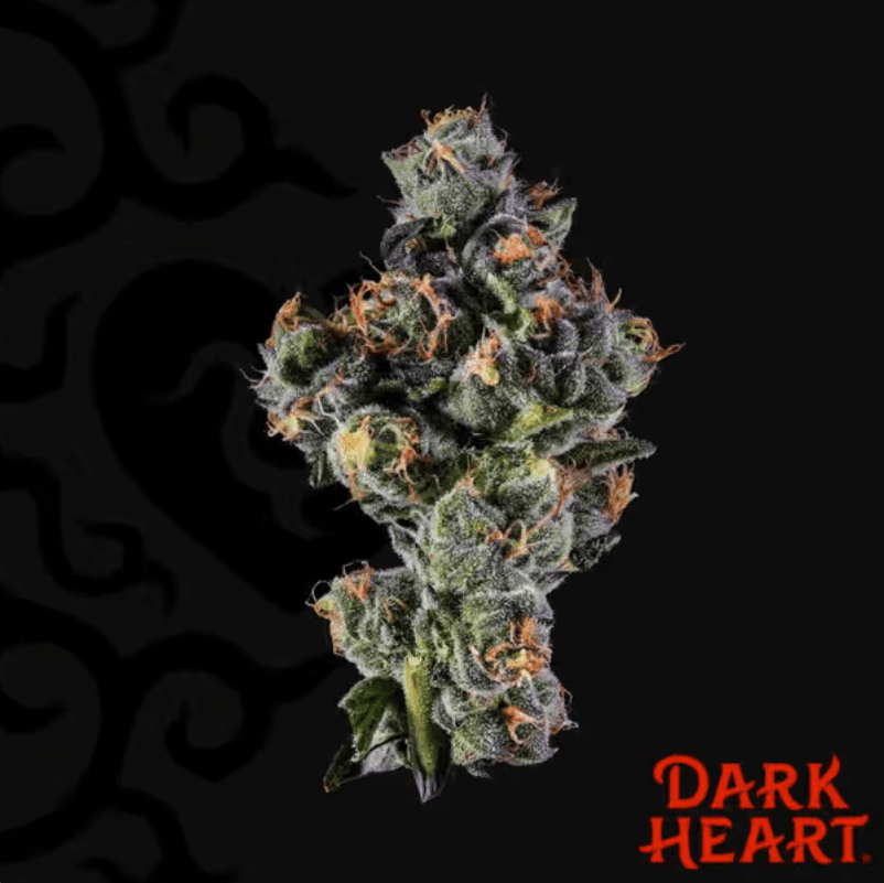 Dark Heart