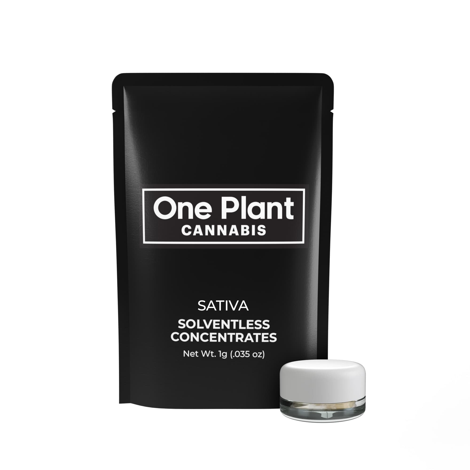 One Plant Guava Piatella 1g