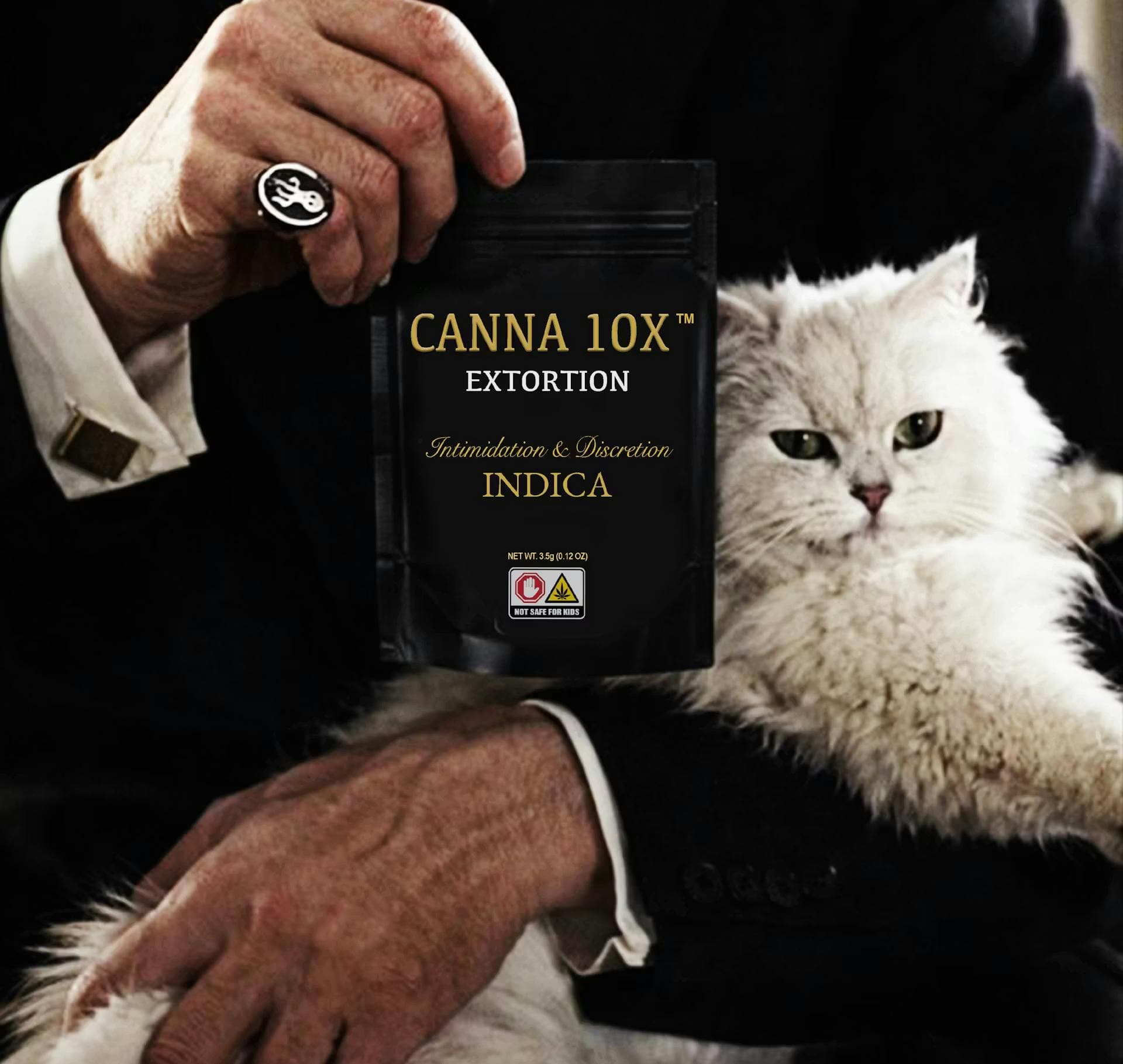 Canna 10x
