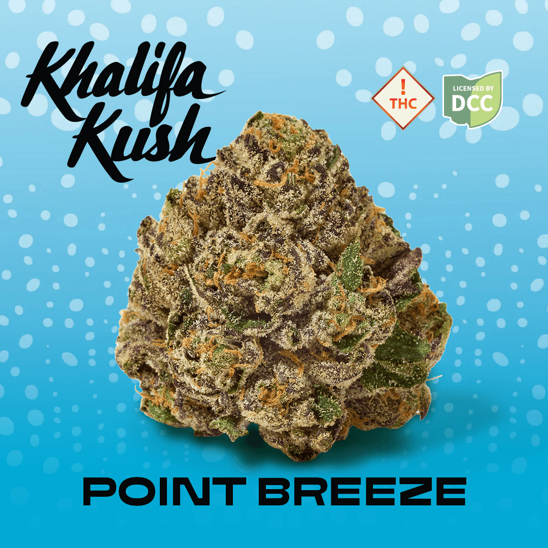 Khalifa Kush KHALIFA KUSH - POINT BREEZE - [2.83G] - INDICA