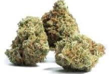 Satori Garlic Drip 3.5 grams