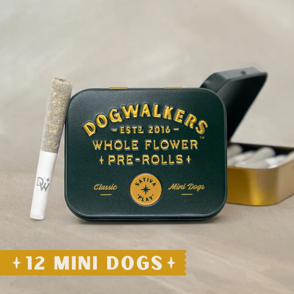 DOGWALKERS