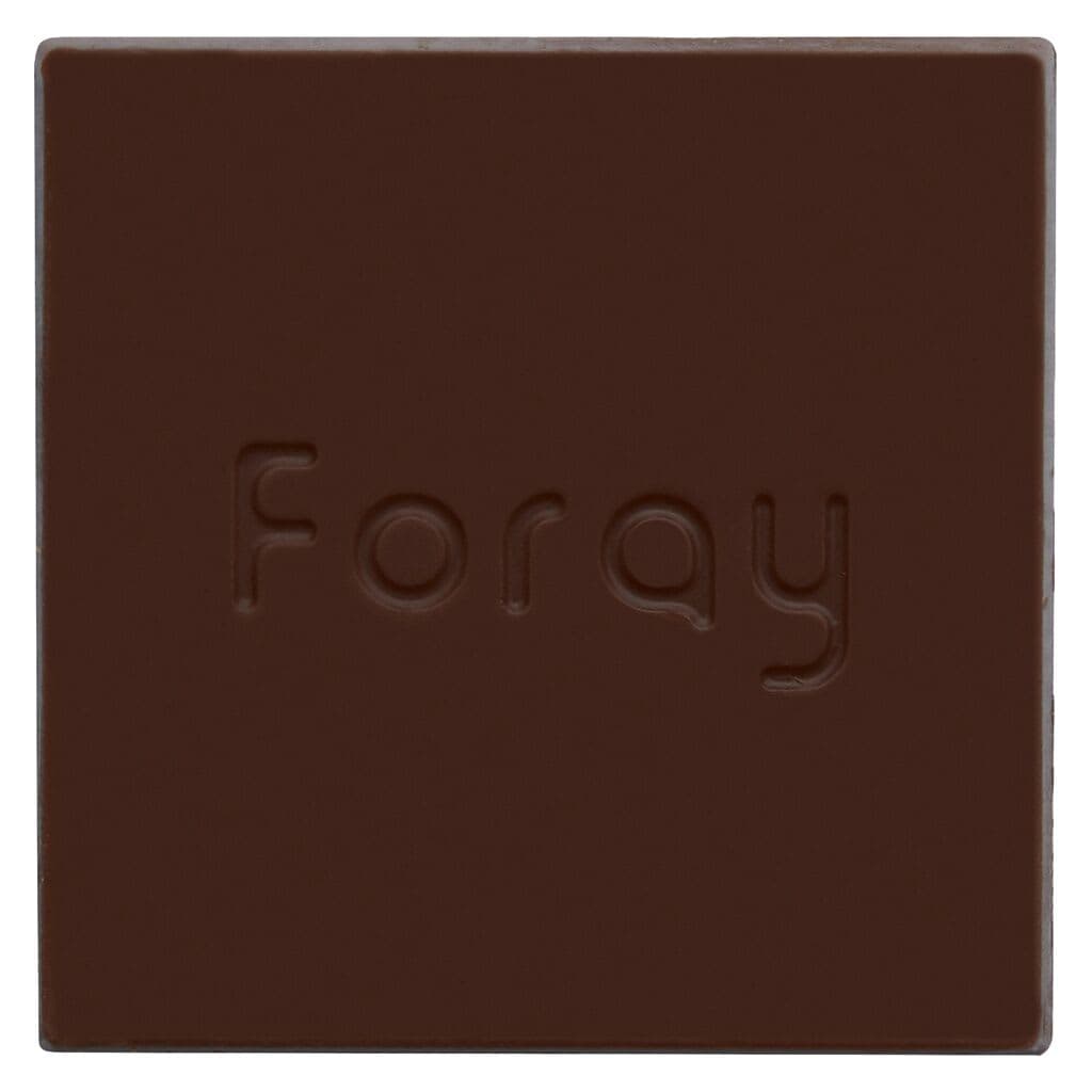 Foray