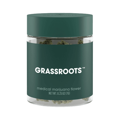 Grassroots White Hot Guava Small Flower
