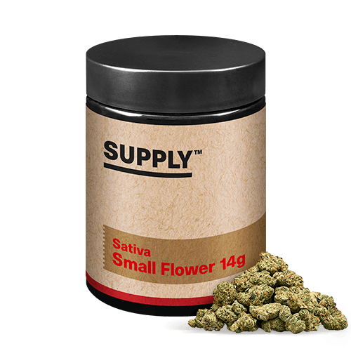 Supply™ Chemex Small Flower