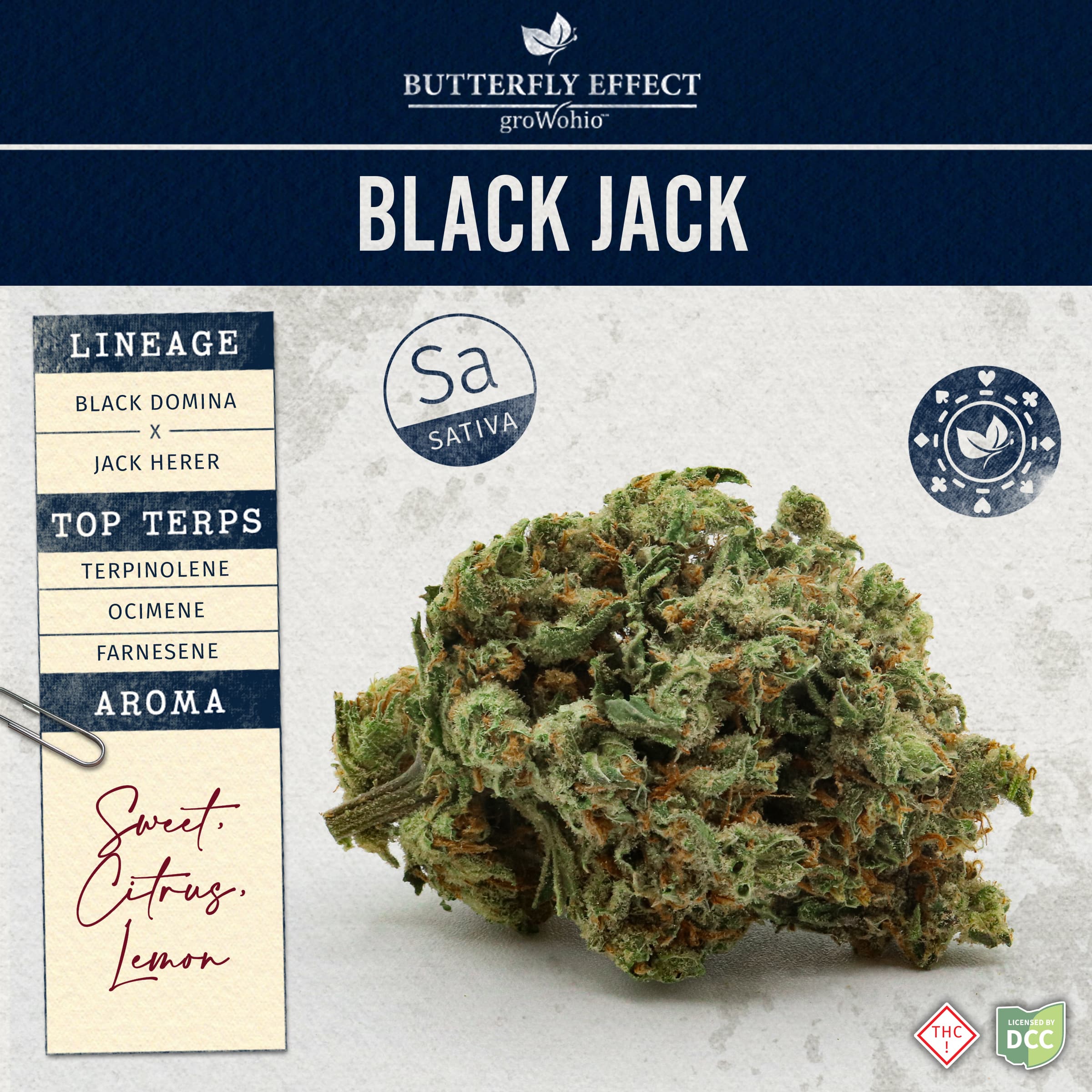 Butterfly Effect Black Jack - 2.83g