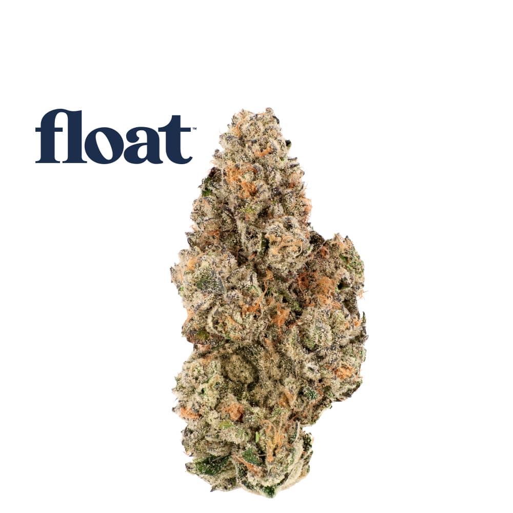Float Alleged Orbit - Flower - 3.5g