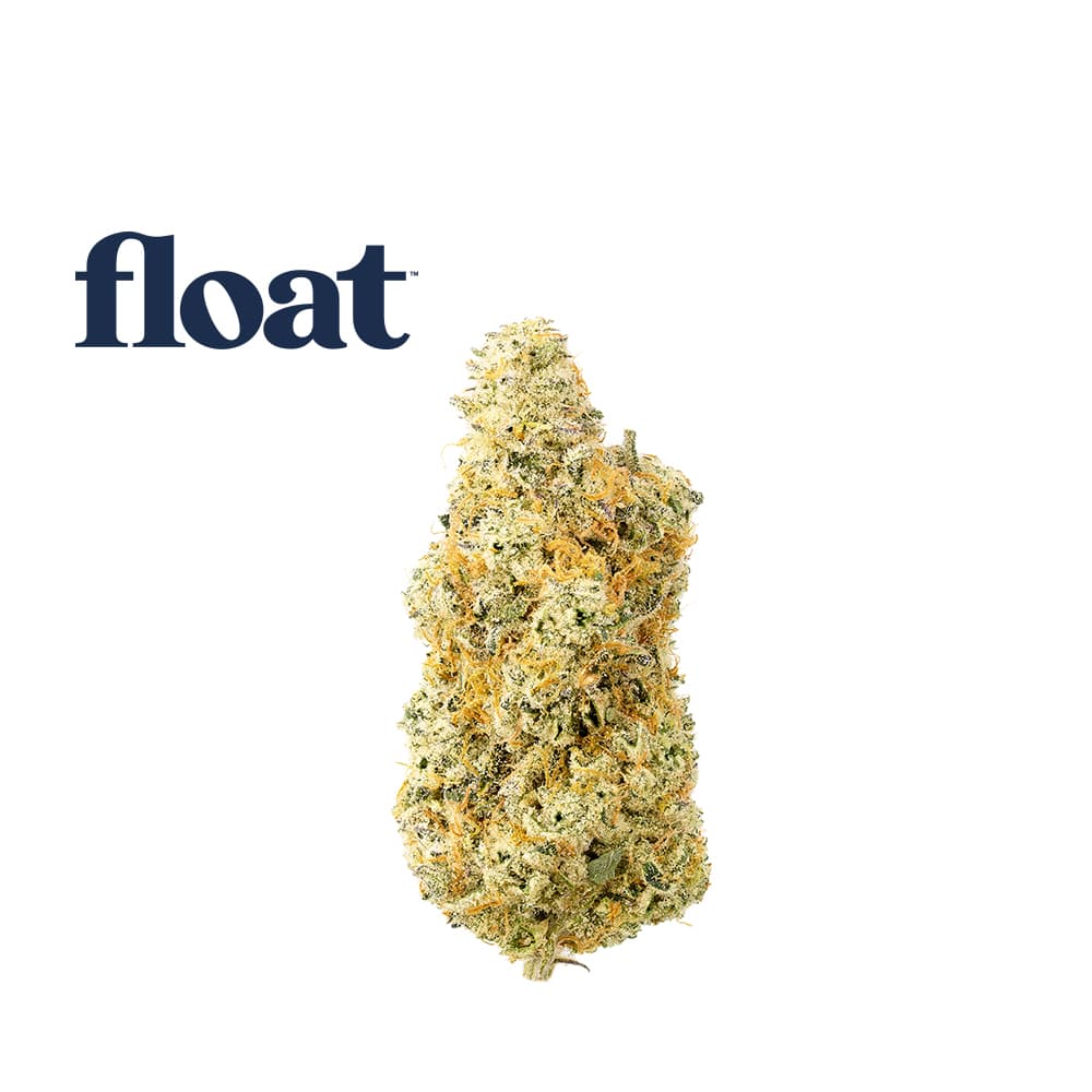 Float Deluxe Sugar Cane - Flower - 3.5g